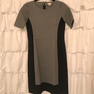 J. Crew dress